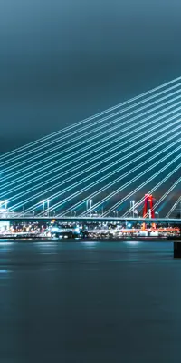 Rotterdam verzekeraars