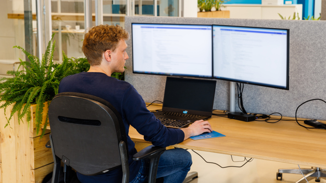 Low code developers